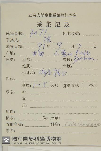 小衛矛藏品圖，第2張