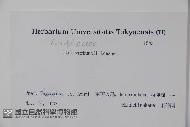 華氏冬青藏品圖，第2張