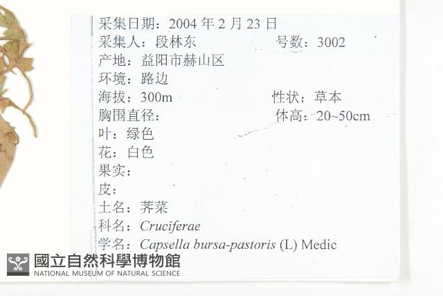 薺藏品圖，第2張