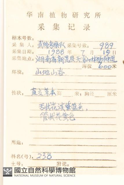 雞兒腸藏品圖，第2張