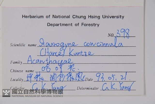 哈哼花藏品圖，第2張