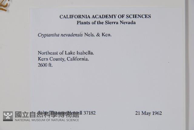 登錄號:S035116藏品圖，第2張