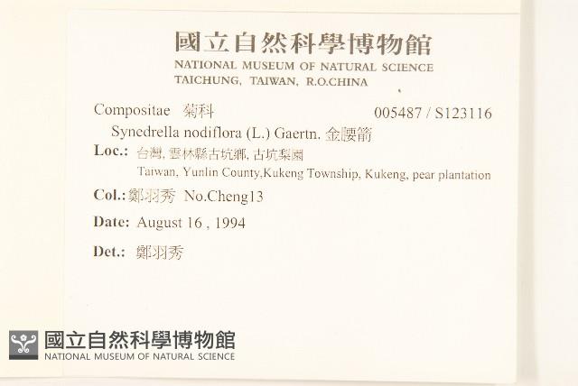 金腰箭藏品圖，第2張