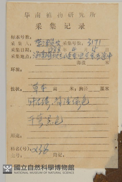 走馬胎藏品圖，第2張
