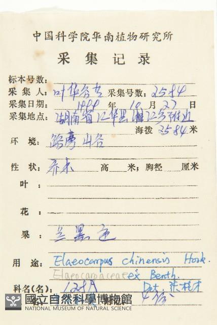 華杜英藏品圖，第2張