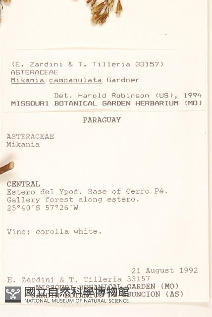 登錄號:S062316藏品圖，第2張