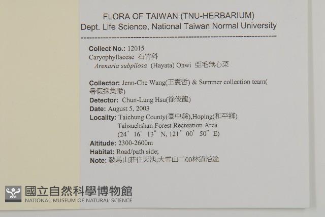 亞毛無心菜藏品圖，第2張