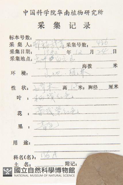 牛耳楓藏品圖，第2張