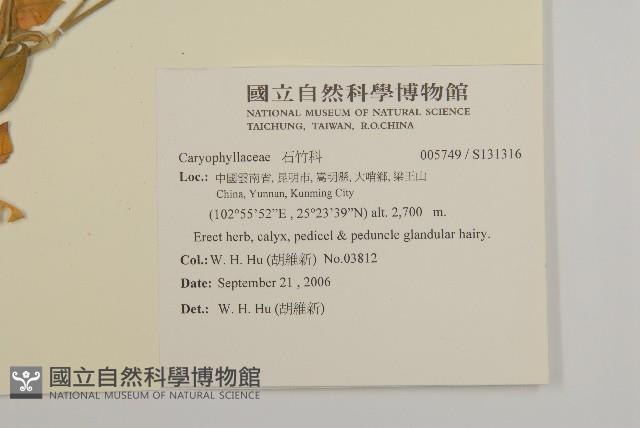 登錄號:S131316藏品圖，第2張