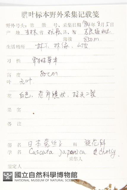 日本菟絲子藏品圖，第2張