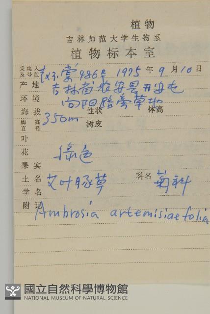 豬草、瘤果菊藏品圖，第2張