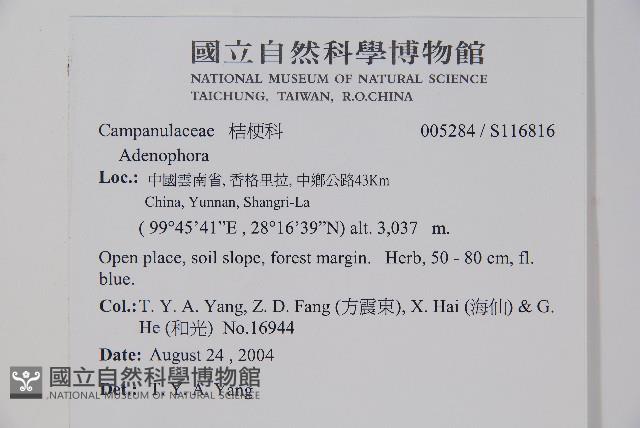 登錄號:S116816藏品圖，第2張