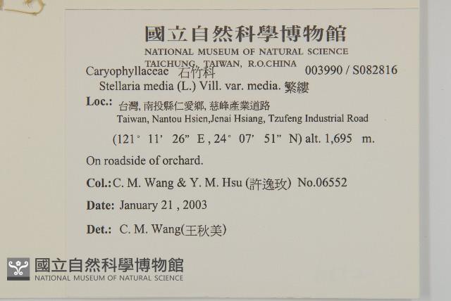 繁縷藏品圖，第2張