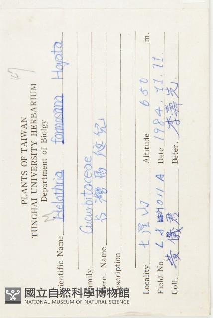 臺灣馬交兒藏品圖，第2張