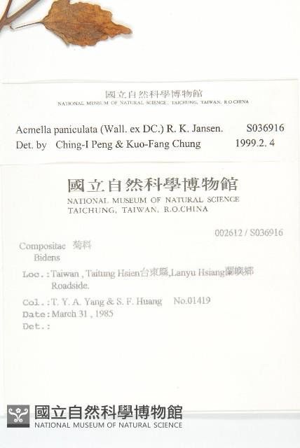 金鈕釦藏品圖，第2張