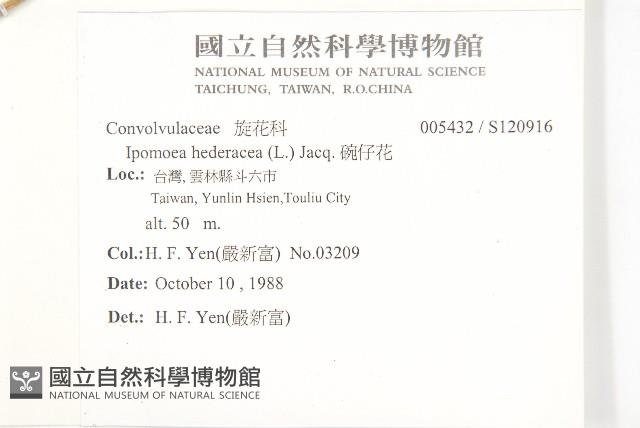 碗仔花藏品圖，第2張