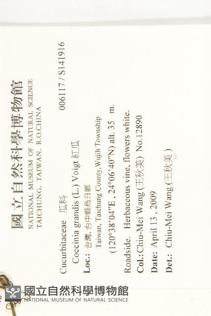 紅瓜藏品圖，第2張