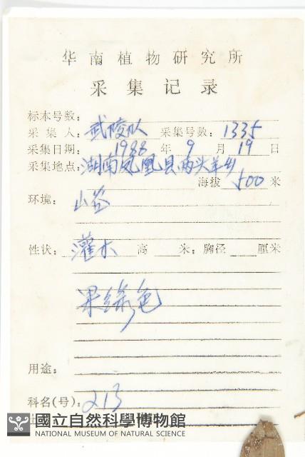 小棶木藏品圖，第2張