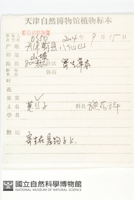 日本菟絲子藏品圖，第2張