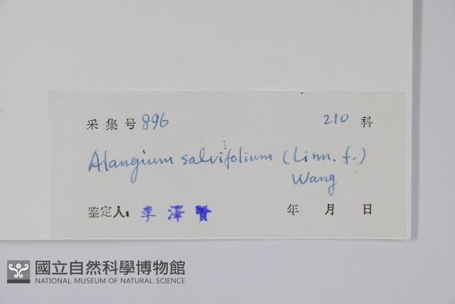 土壇樹藏品圖，第2張