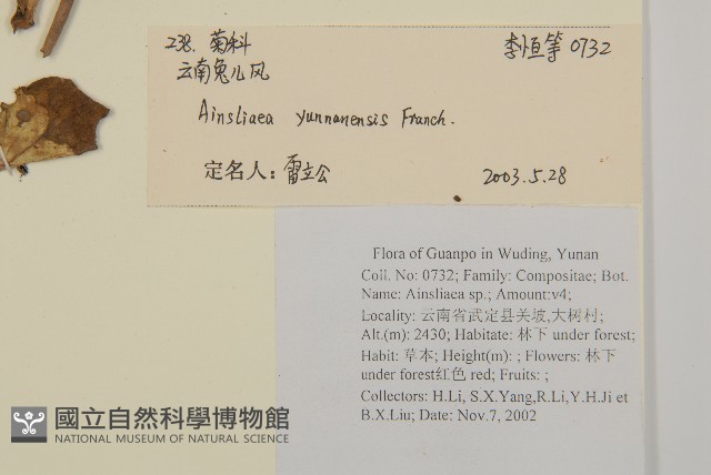雲南兔兒風藏品圖，第2張