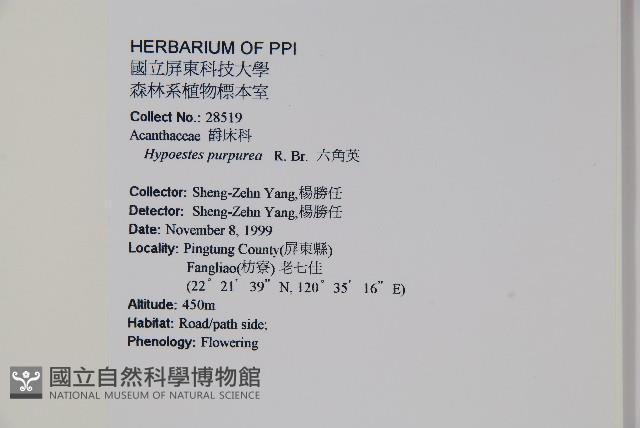 Accession Number:S065516 Collection Image, Figure 2, Total 2 Figures