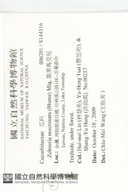 黑果馬交兒藏品圖，第2張