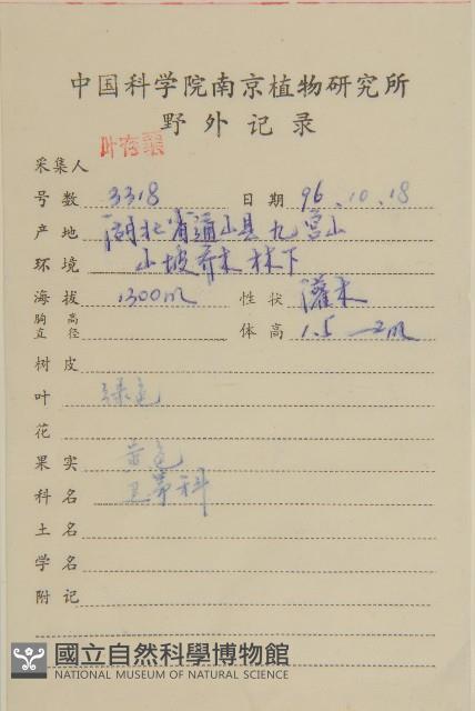 石棗子藏品圖，第2張