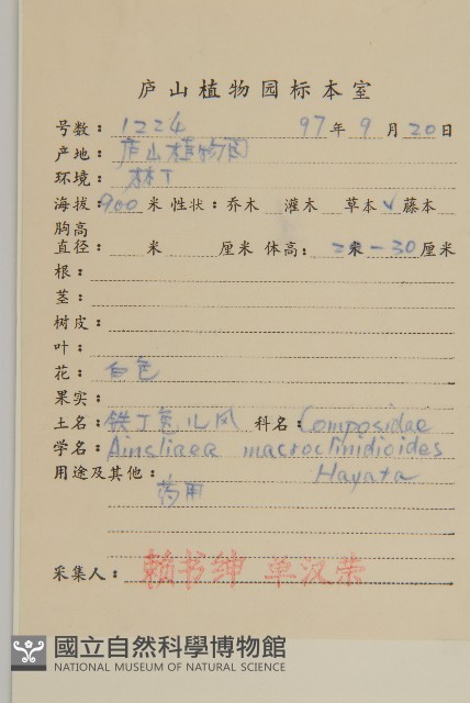 阿里山鬼督郵藏品圖，第2張