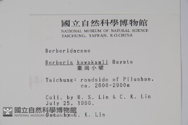 臺灣小蘗藏品圖，第2張