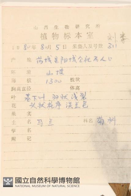 蒙古馬蘭藏品圖，第2張