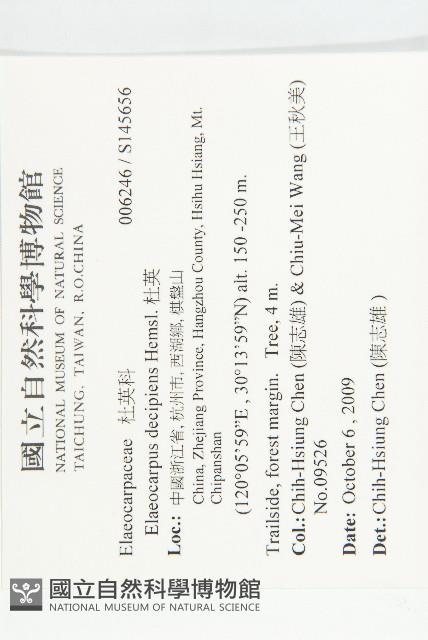 杜英藏品圖，第2張