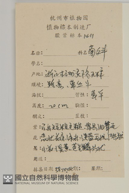 紫菀藏品圖，第2張