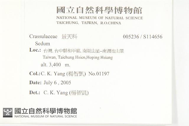 登錄號:S114656藏品圖，第2張