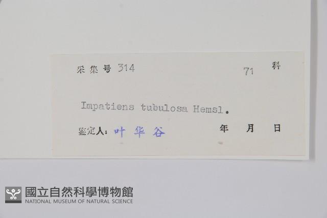 登錄號:S044656藏品圖，第2張