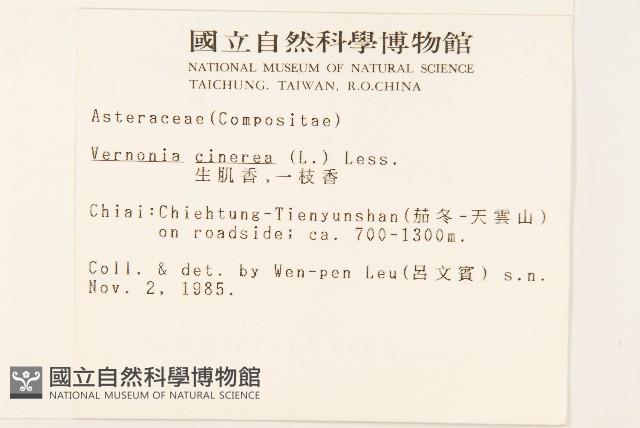 一枝香藏品圖，第2張