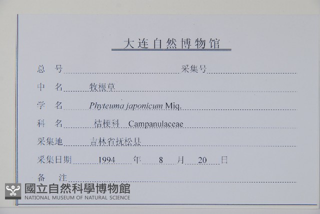 牧根草藏品圖，第2張
