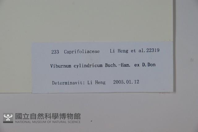 水紅木藏品圖，第2張