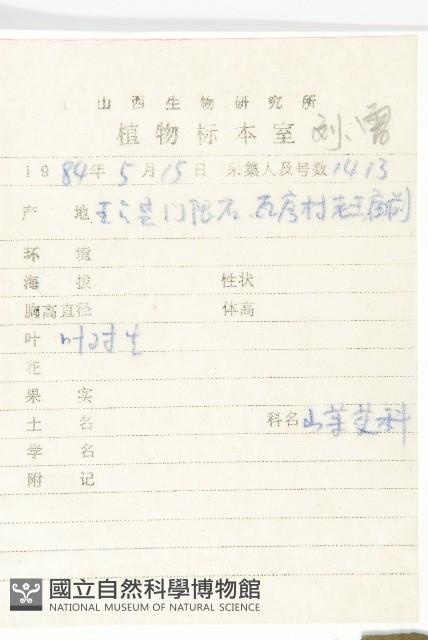 沙棶藏品圖，第2張