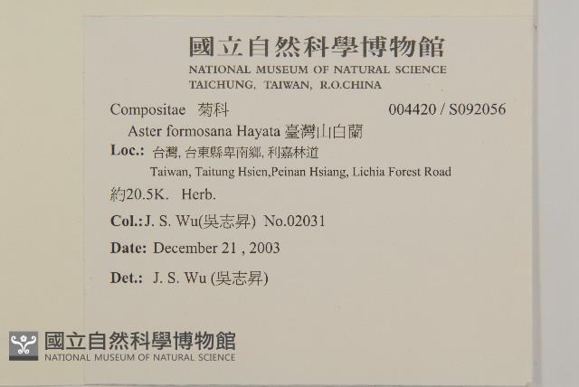 臺灣山白蘭藏品圖，第2張