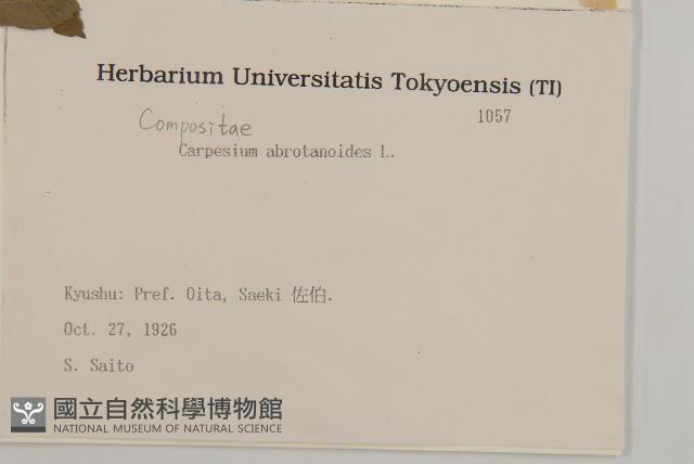 天名精藏品圖，第2張