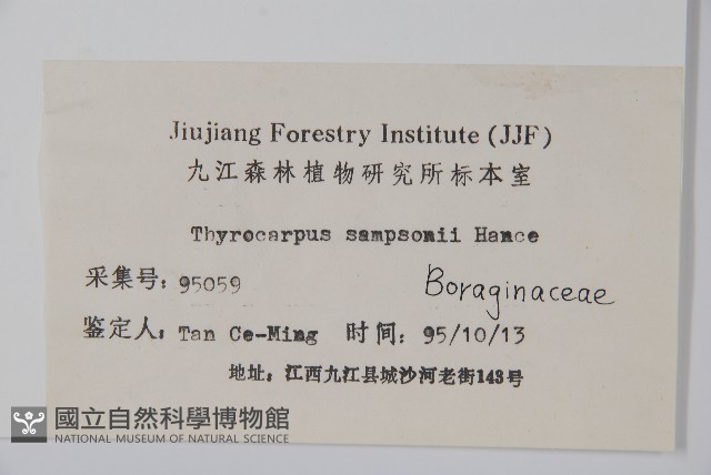 盾果草藏品圖，第2張