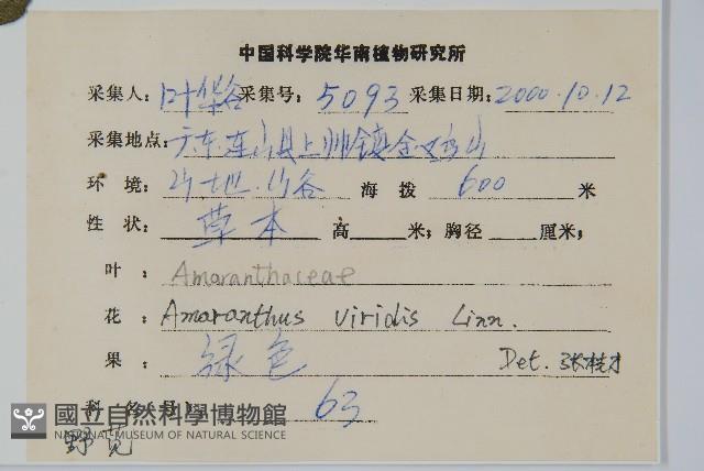 野莧菜藏品圖，第2張