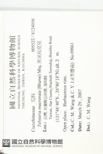 黑果馬交兒藏品圖，第2張