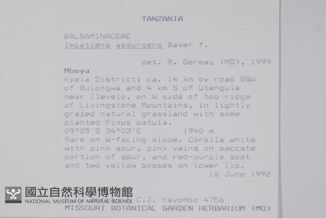 登錄號:S094056藏品圖，第2張