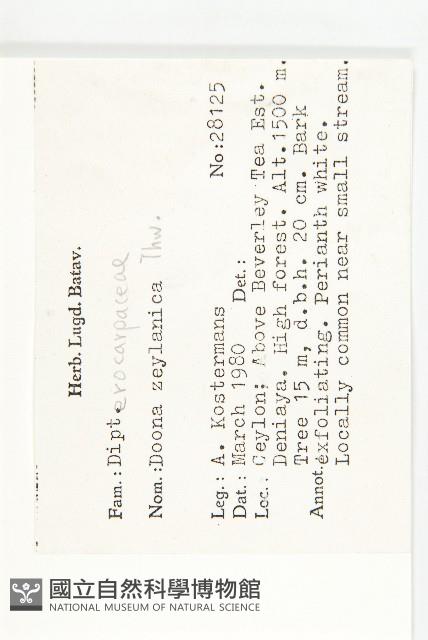 登錄號:S047056藏品圖，第2張