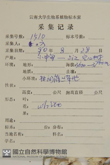 尼泊爾籟簫藏品圖，第2張