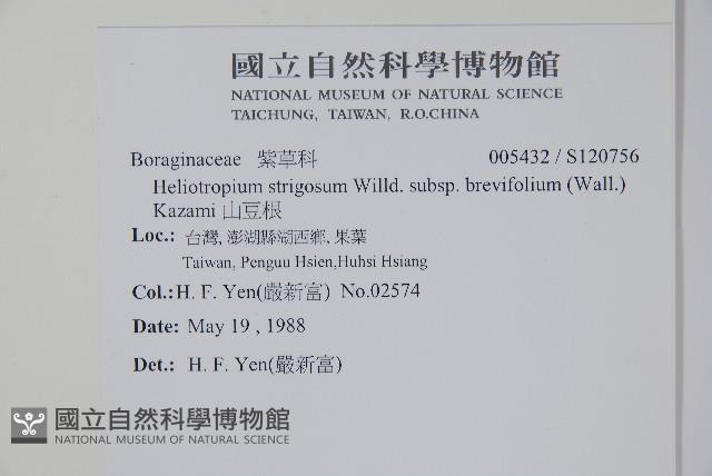 山豆根藏品圖，第2張