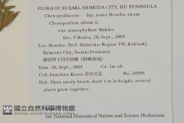 登錄號:S130756藏品圖，第2張