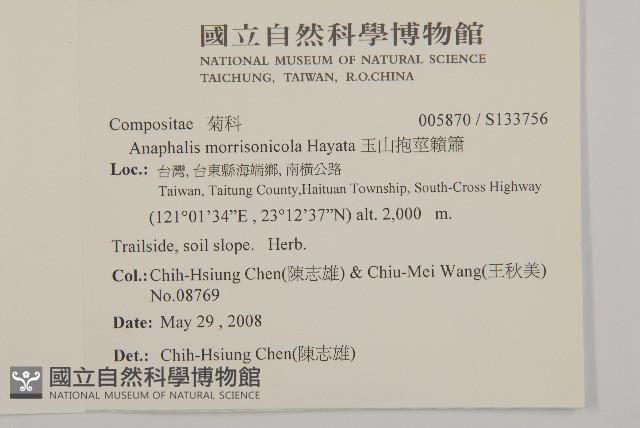 玉山抱莖籟簫藏品圖，第2張